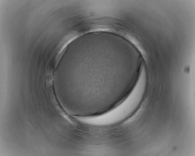 X0000091001377200708161929
