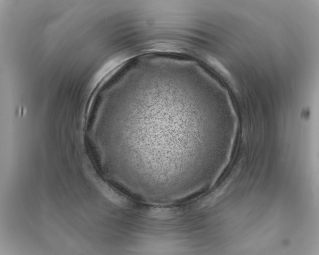 X0000091001378200708161929