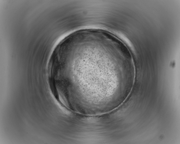 X0000091001380200708161929
