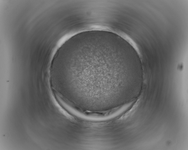 X0000091001381200708161929