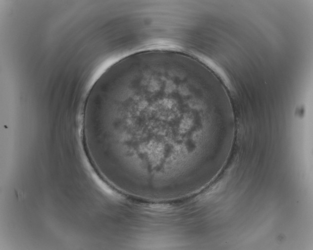 X0000091001383200708161929
