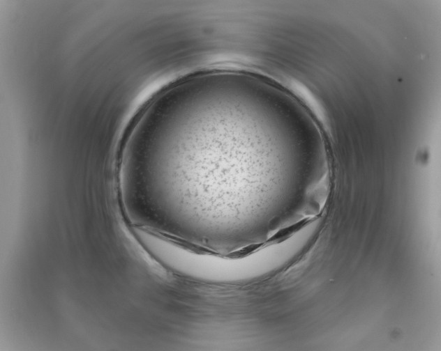 X0000091001384200708161929