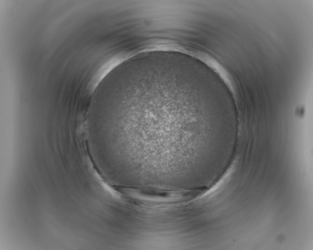 X0000091001385200708161929