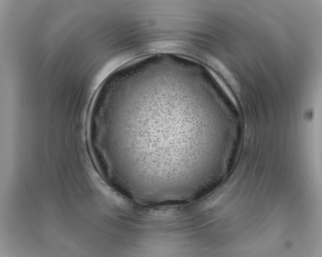 X0000091001386200708161929
