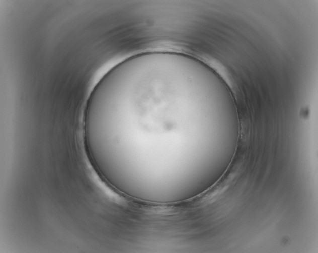 X0000091001387200708161929