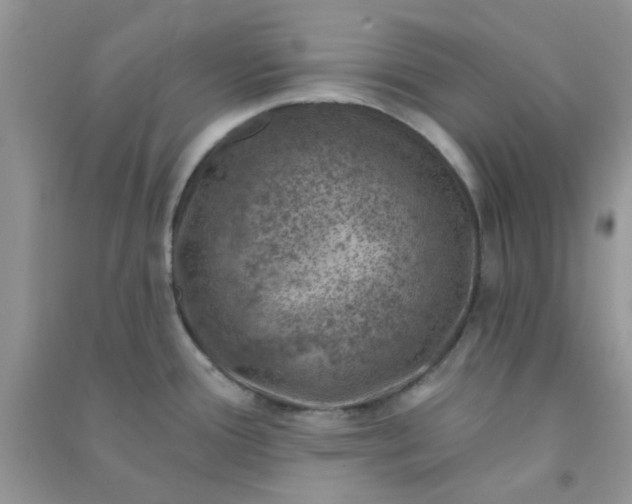 X0000091001388200708161929