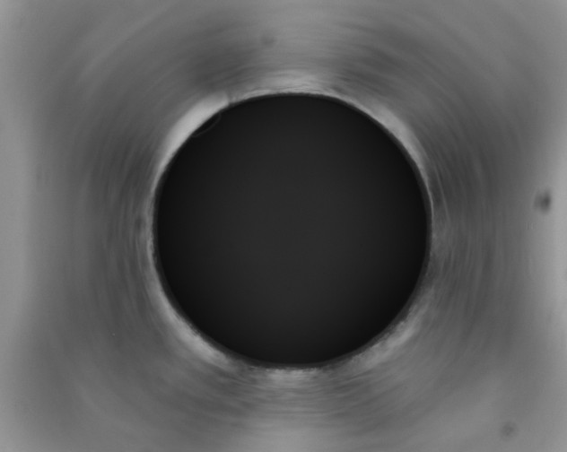 X0000091001389200708161929