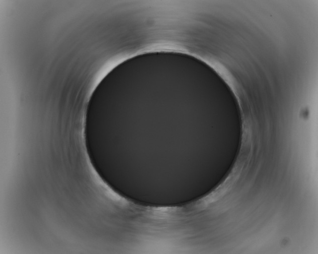X0000091001390200708161929
