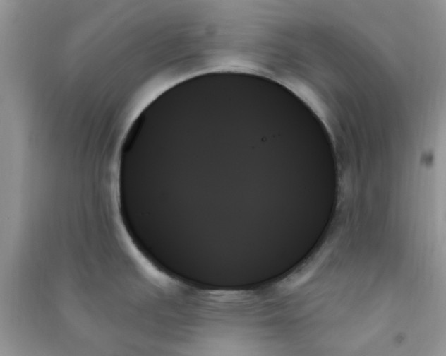 X0000091001391200708161929