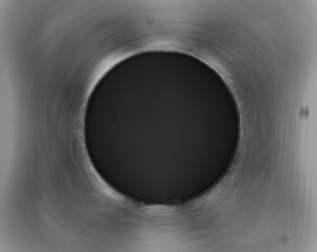 X0000091001392200708161929