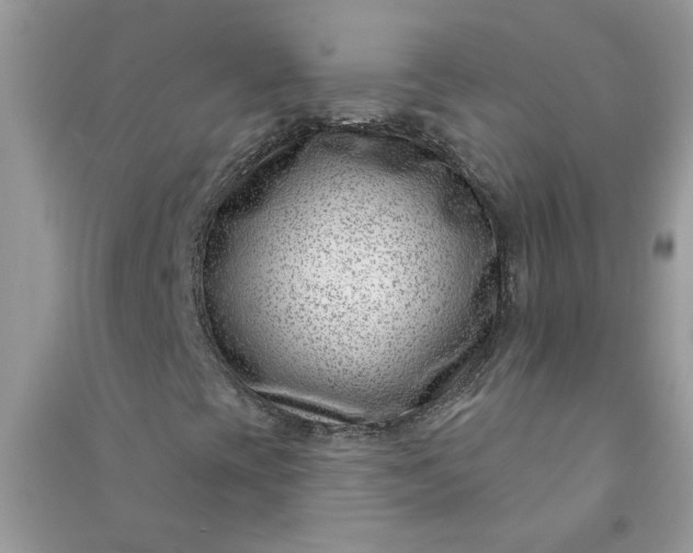 X0000091001393200708161928