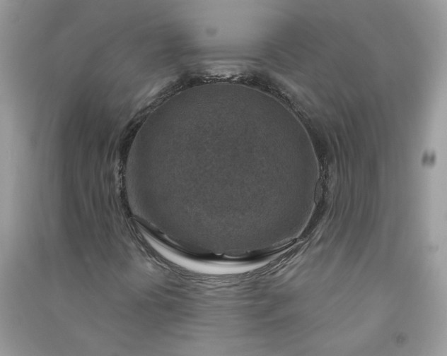 X0000091001394200708161928