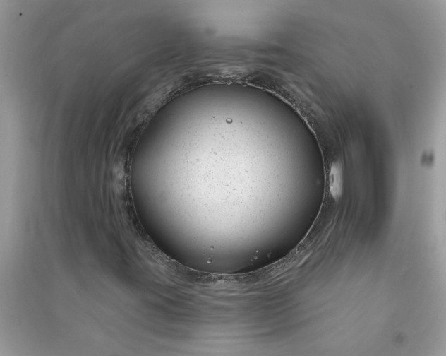 X0000091001395200708161928