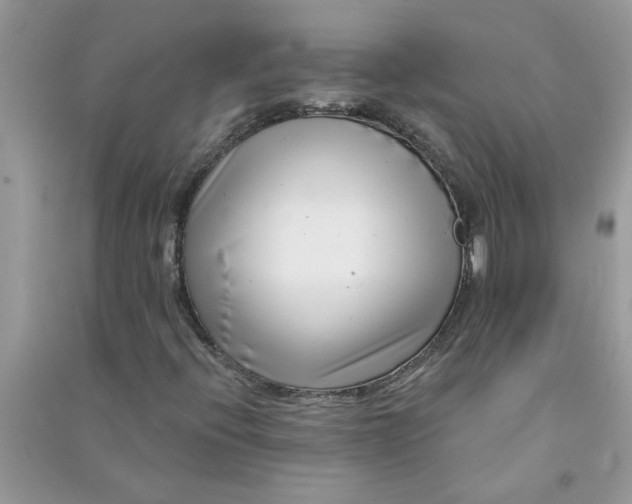 X0000091001396200708161928