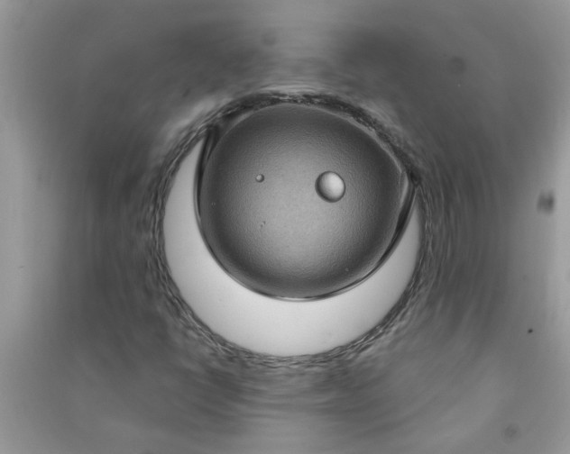 X0000091001398200708161928