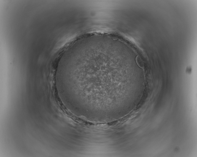 X0000091001399200708161928