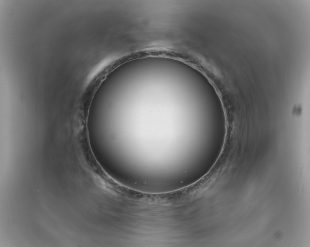 X0000091001400200708161928