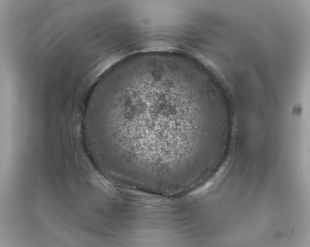 X0000091001401200708161928