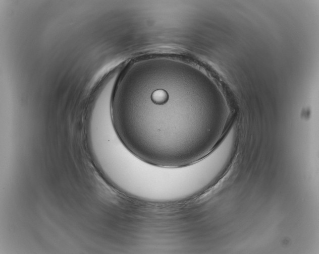 X0000091001402200708161928
