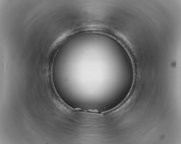 X0000091001403200708161928