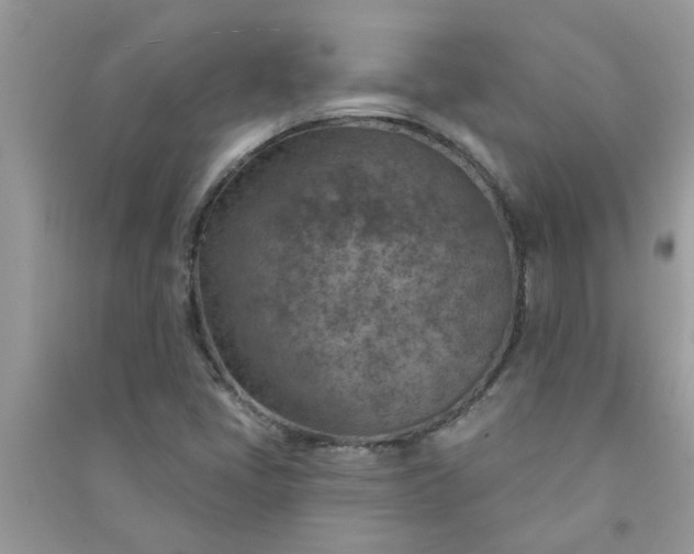 X0000091001405200708161928