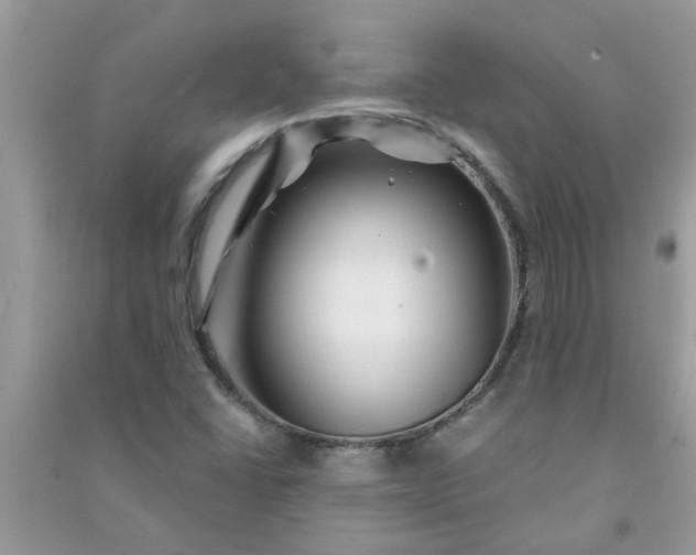 X0000091001406200708161928