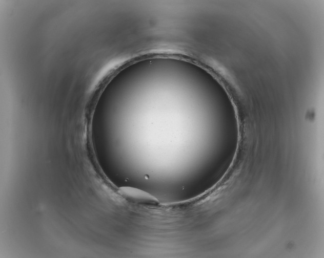 X0000091001408200708161928