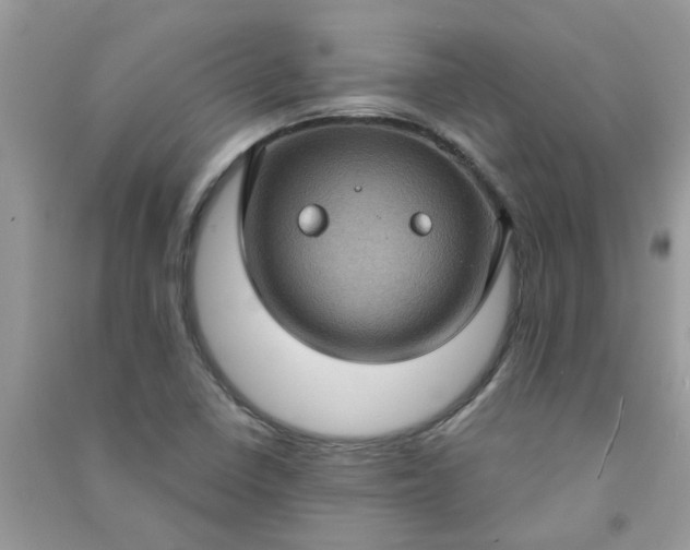 X0000091001410200708161928