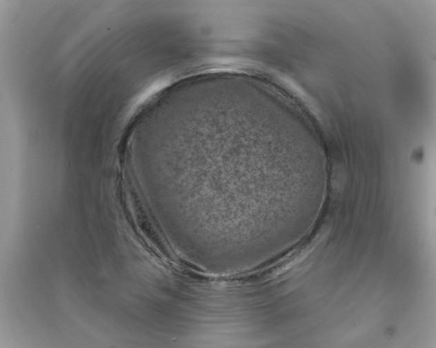 X0000091001411200708161928