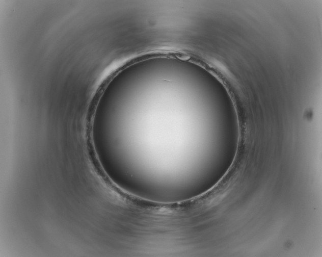 X0000091001412200708161928