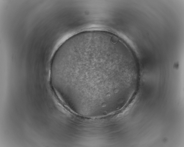 X0000091001413200708161928