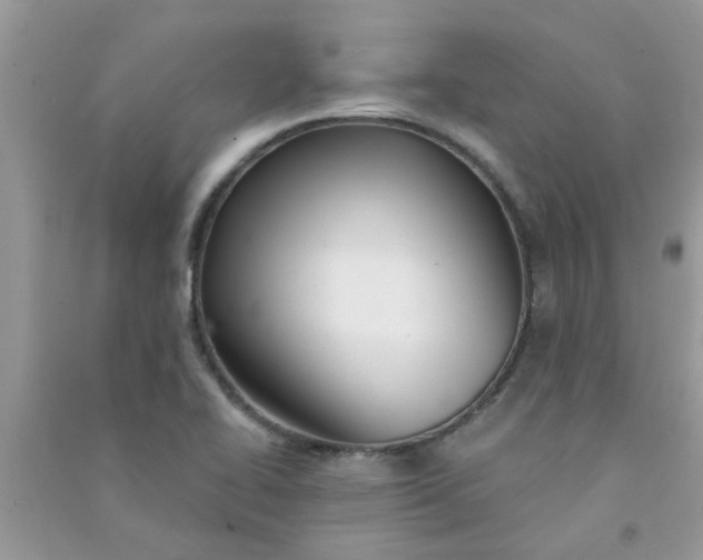 X0000091001414200708161928