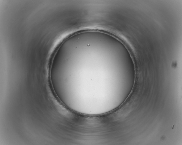X0000091001416200708161929
