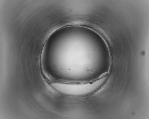 X0000091001417200708161929
