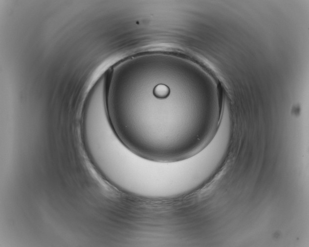 X0000091001418200708161929