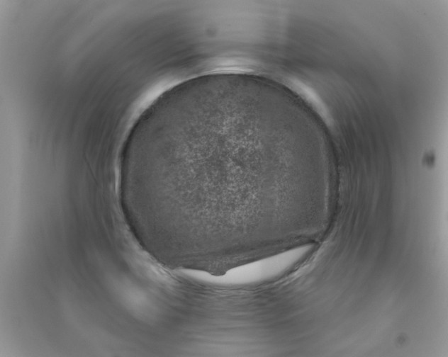 X0000091001419200708161929