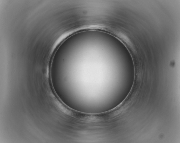 X0000091001420200708161929