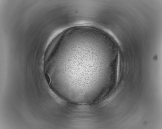 X0000091001421200708161929
