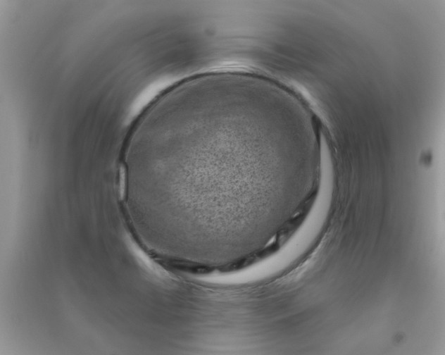 X0000091001422200708161929