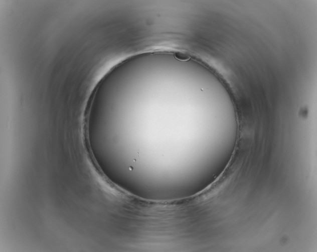 X0000091001423200708161929