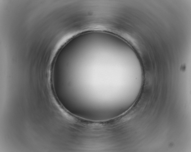 X0000091001424200708161929
