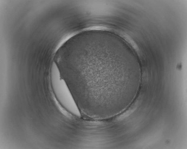 X0000091001425200708161929