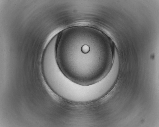 X0000091001426200708161929