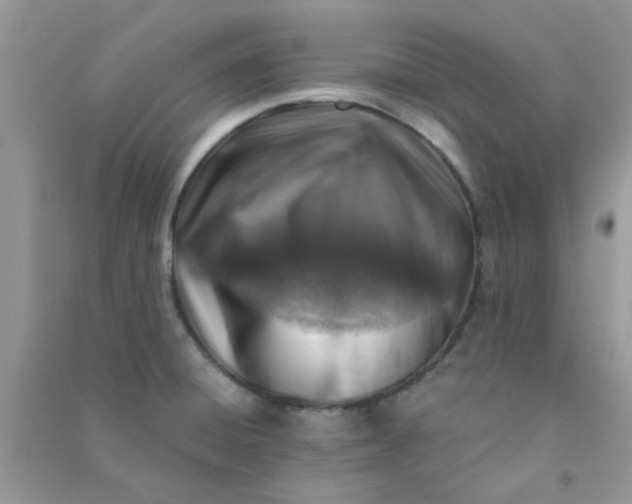 X0000091001428200708161929