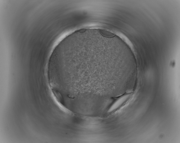 X0000091001429200708161929