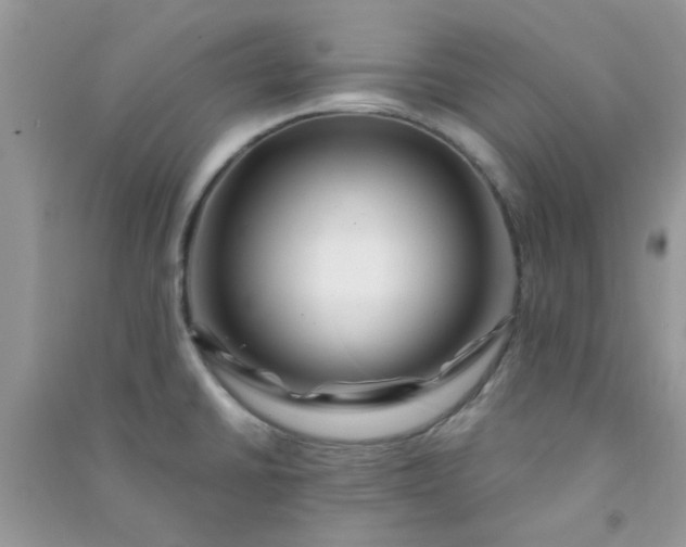 X0000091001430200708161929