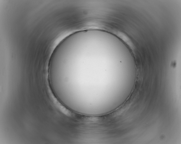 X0000091001431200708161929