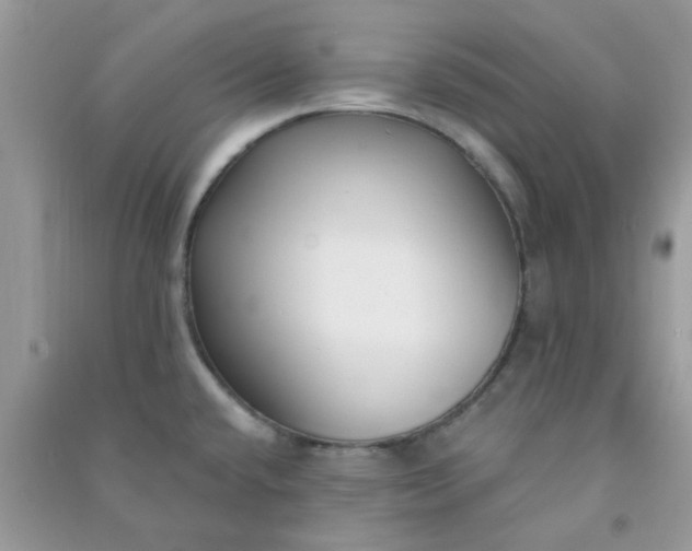 X0000091001432200708161929