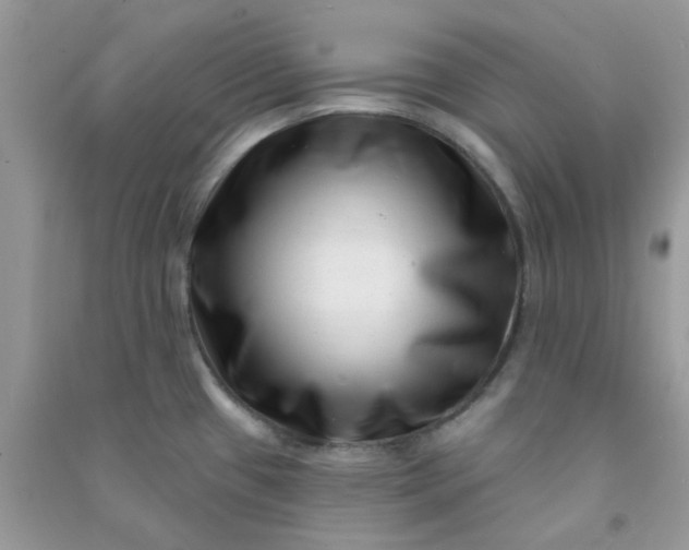 X0000091001433200708161929