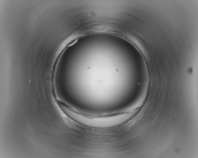 X0000091001434200708161929